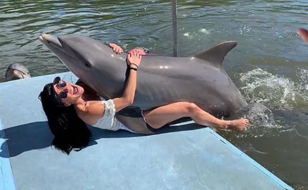 Девушка совокуплялась с. Дельфины нападают на людей. Дельфины и женщины. Женщина и Дельфин.