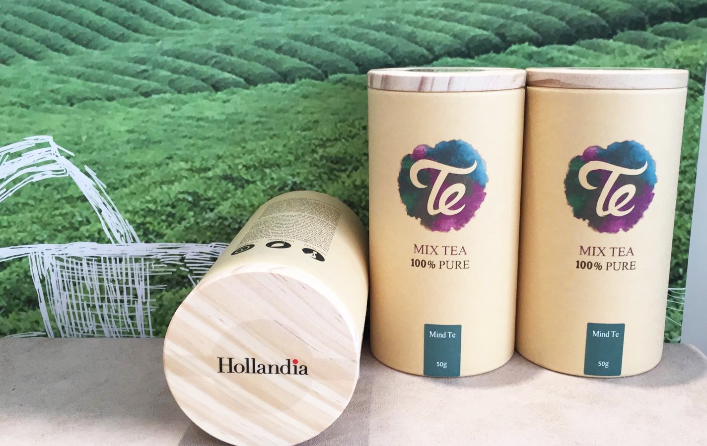 צילום יחצ - חליטות תה חדשות בהולנדיה